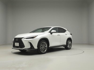 LEXUS NX - 4