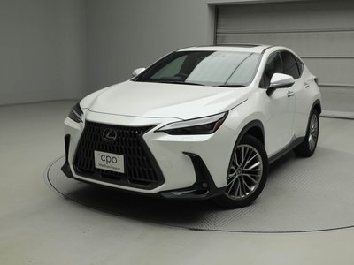 LEXUS NX - 1