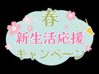 TOYOTA LAND CRUISER 300 - 3