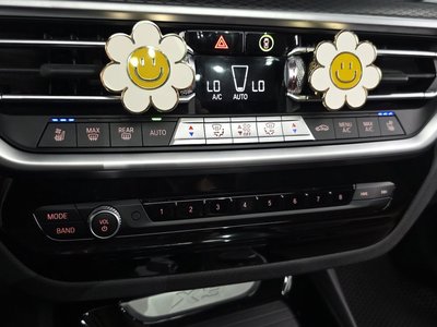 صورة مصغرة 22 لـ 2023 BMW X3