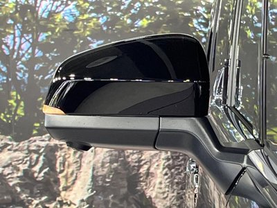 صورة مصغرة 28 لـ 2025 TOYOTA ALPHARD