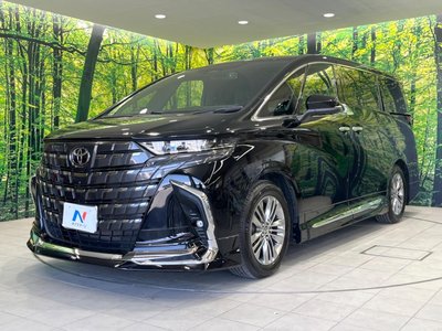 2023 Toyota ALPHARD thumbnail 60
