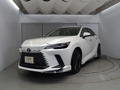 LEXUS RX - 1