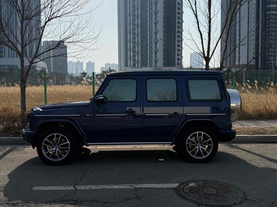 MERCEDES-BENZ G-CLASS - 3