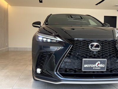 صورة 8 لـ 2023 Lexus NX