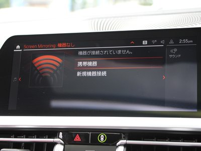 2020 BMW 4 SERIES COUPE 缩略图 48