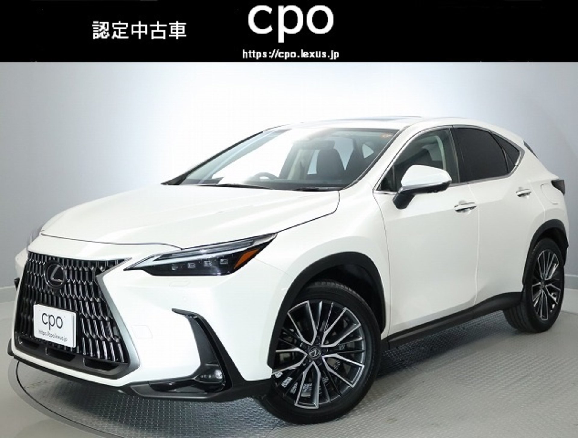 LEXUS NX - View 1