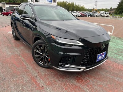 2025 Lexus RX 缩略图 13