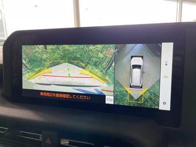 2024 Toyota LAND CRUISER 250 照片 5