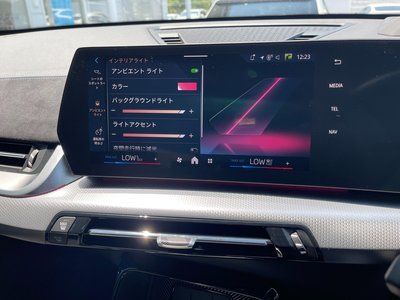 2025 BMW X1 缩略图 43