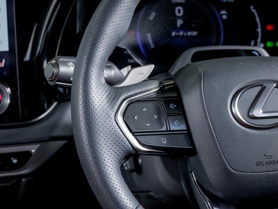 صورة مصغرة 50 لـ 2023 Lexus RX