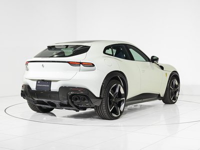 FERRARI PUROSANGUE - 8