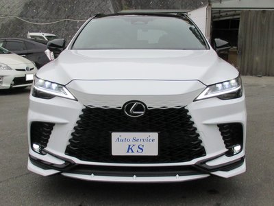 LEXUS RX - 8