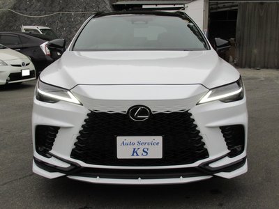 LEXUS RX - 7