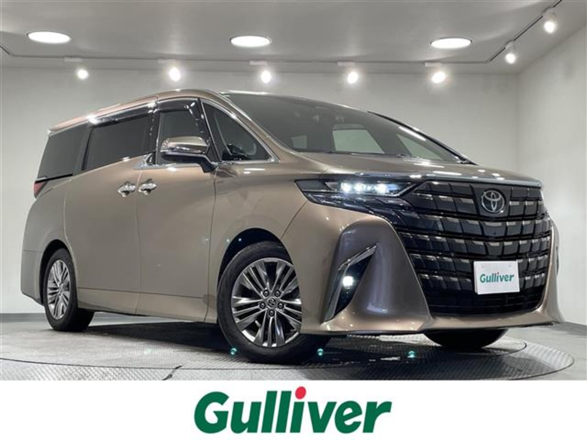 TOYOTA ALPHARD - View 1