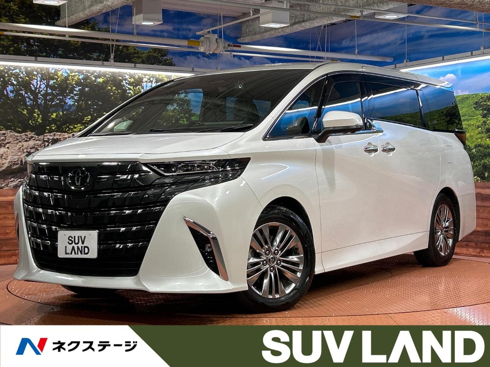 TOYOTA ALPHARD - View 1