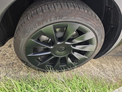 2024 Tesla MODEL Y — миниатюра 13