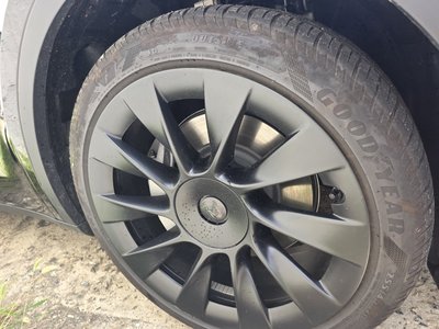 2024 Tesla MODEL Y — миниатюра 14