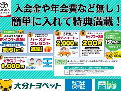 TOYOTA LAND CRUISER PRADO - 5