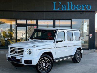 MERCEDES-BENZ G-CLASS - 8
