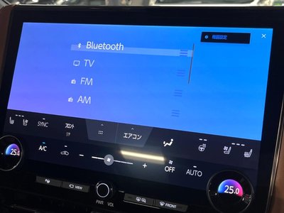 2024 Toyota VELLFIRE 缩略图 37