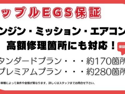 TOYOTA LAND CRUISER 250 - 4