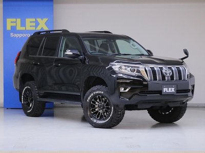 TOYOTA LAND CRUISER PRADO - 5