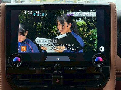 2025 Toyota VELLFIRE 缩略图 19