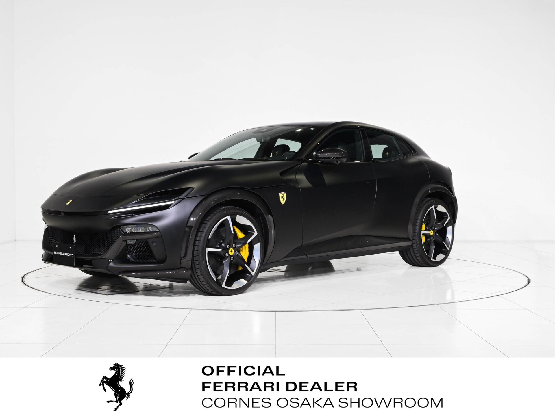 FERRARI PUROSANGUE - View 1