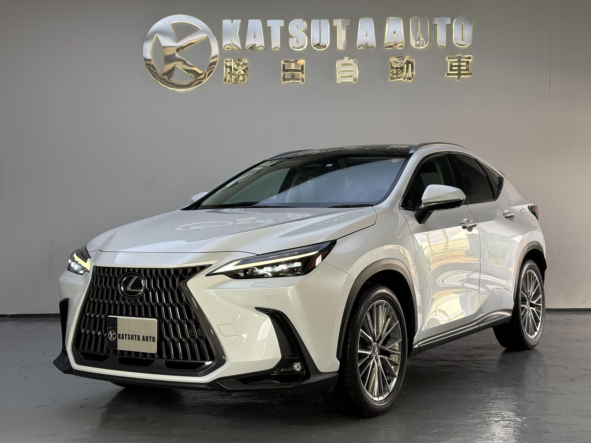 LEXUS NX - View 1