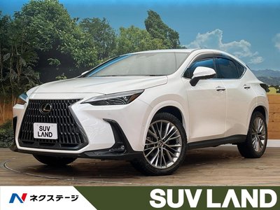 LEXUS NX - 1