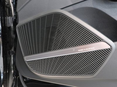 2023 AUDI SQ5 缩略图 16