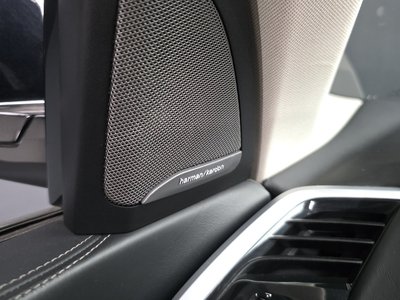 2021 BMW X7 缩略图 36