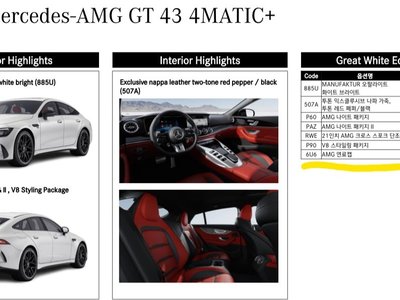 2024 Mercedes-BENZ GT AMG 照片 6