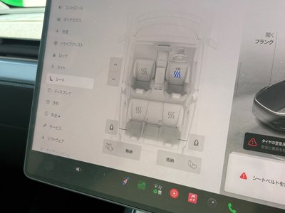 2025 Tesla MODEL Y — миниатюра 44
