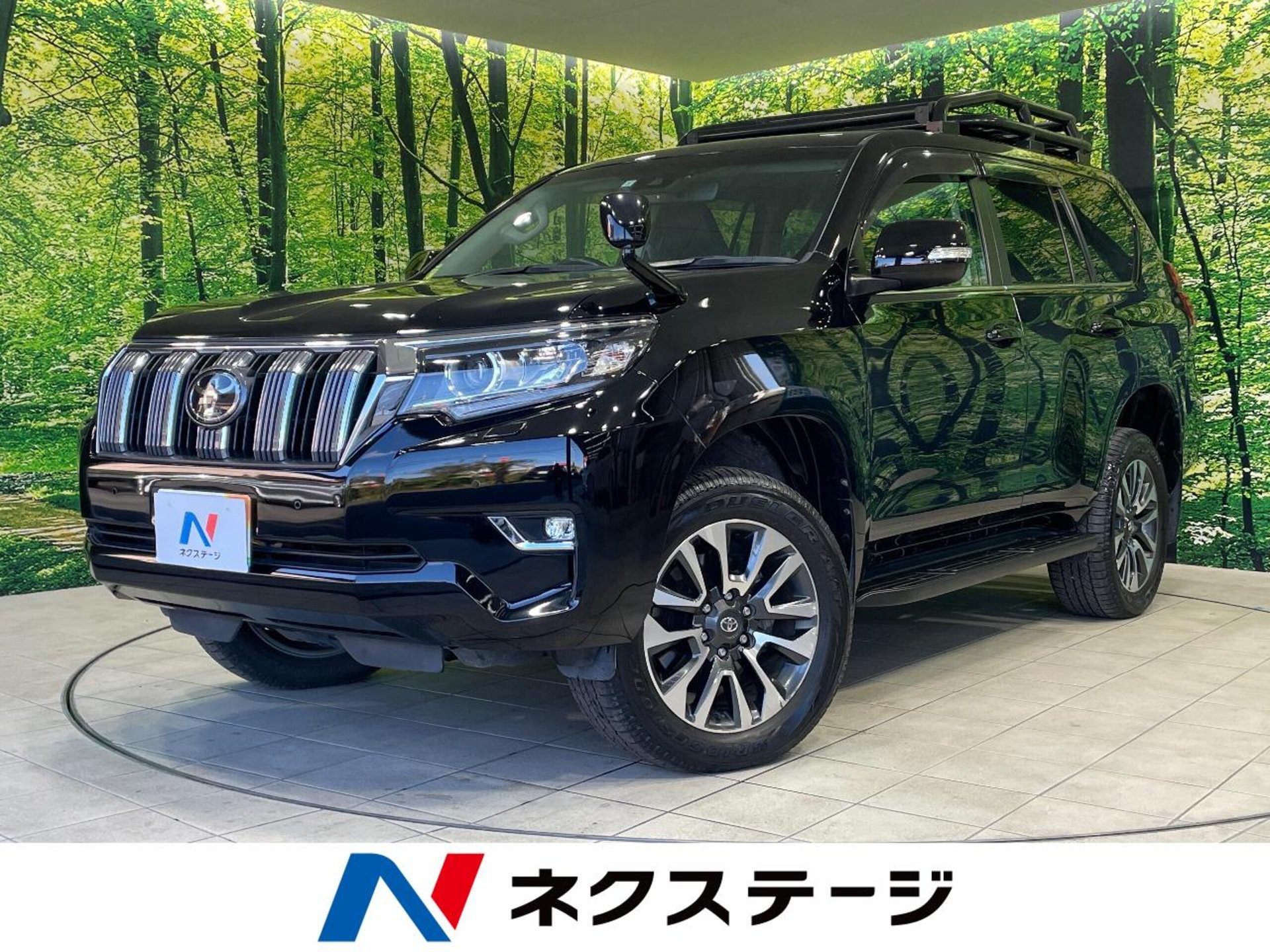TOYOTA LAND CRUISER PRADO - View 1
