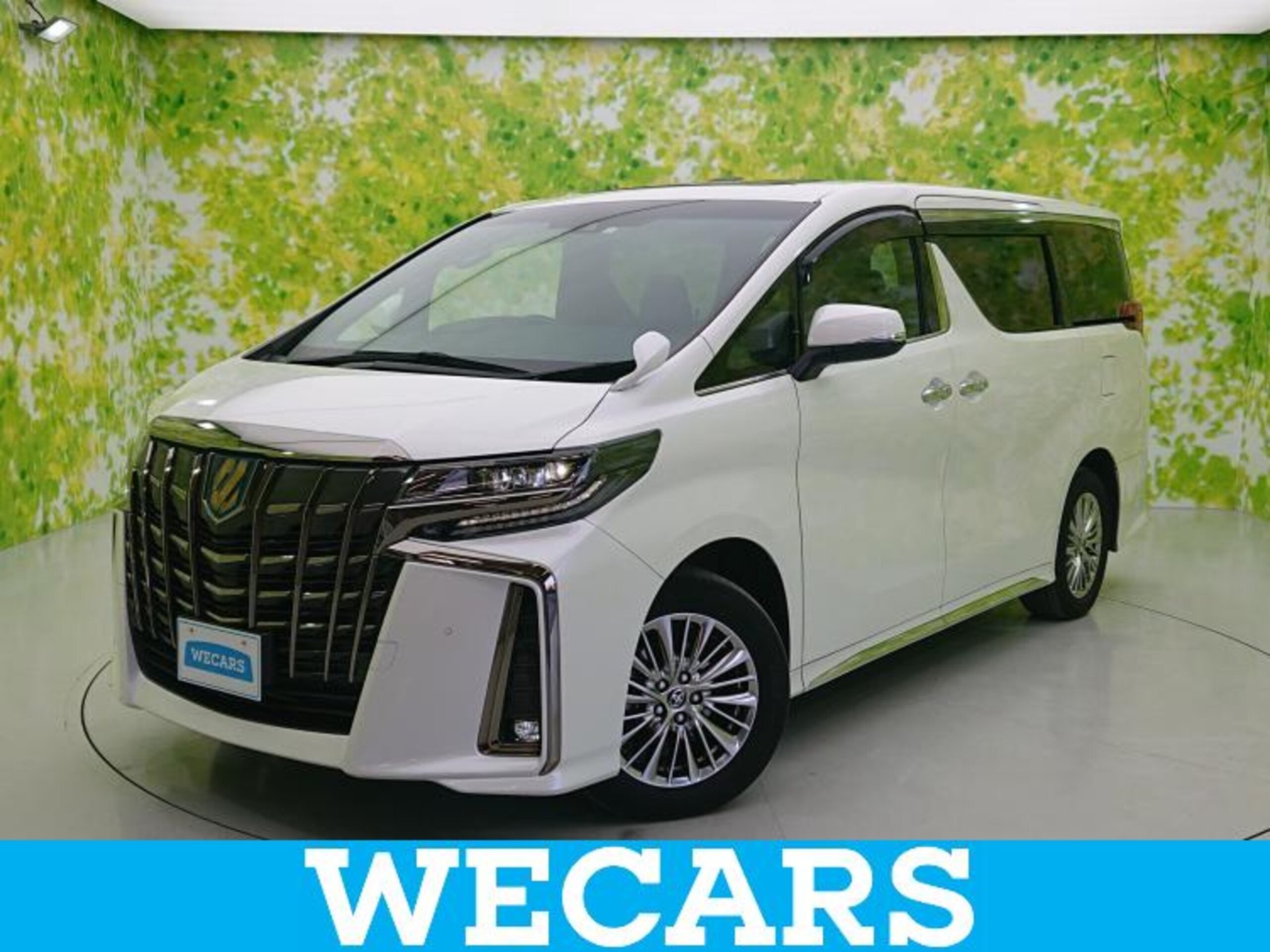 TOYOTA ALPHARD - View 1