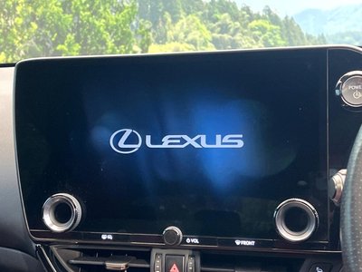 LEXUS NX - 4