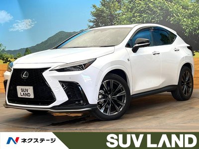 LEXUS NX - 1