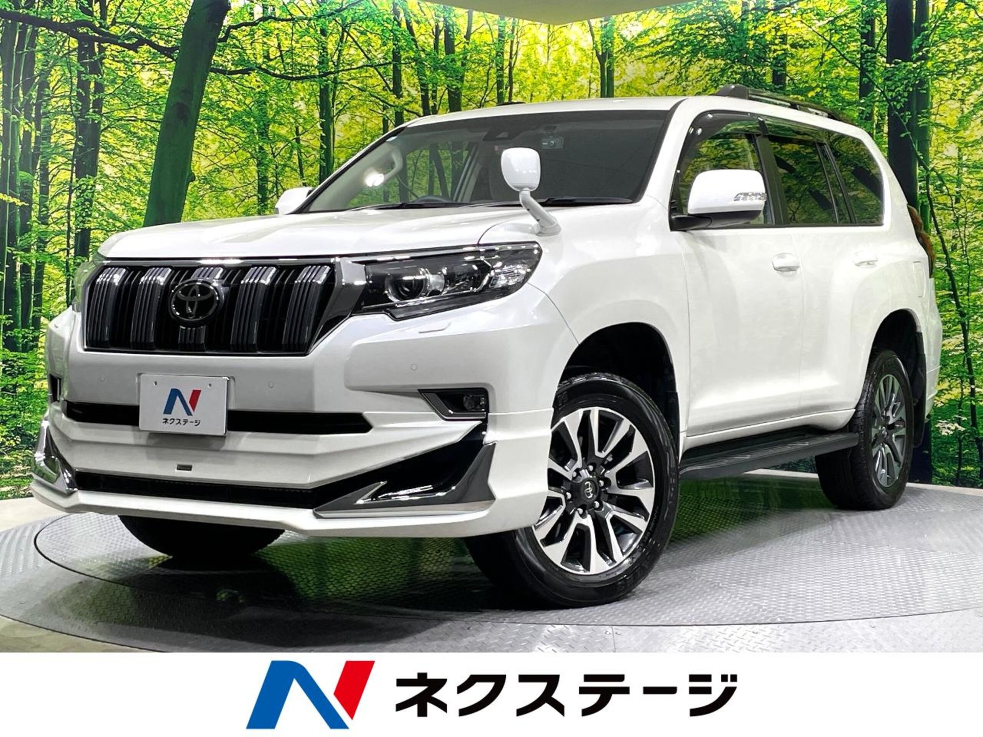 TOYOTA LAND CRUISER PRADO - View 1