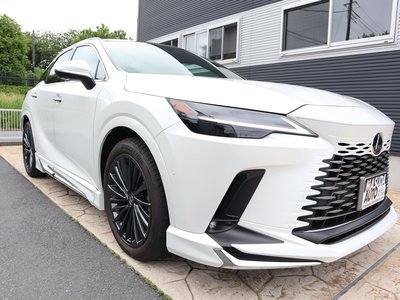 LEXUS RX - 2
