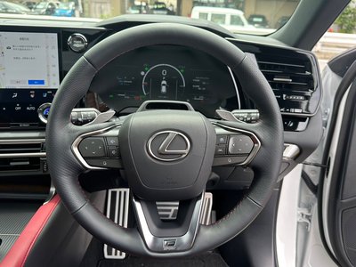 صورة مصغرة 20 لـ 2025 Lexus RX