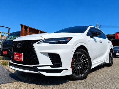 صورة مصغرة 29 لـ 2025 Lexus RX