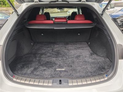 2023 Lexus RX 缩略图 20