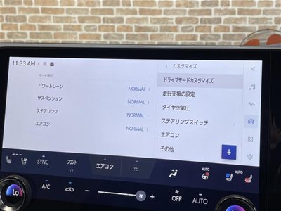 LEXUS RX - 10