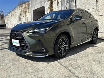 LEXUS NX - 7