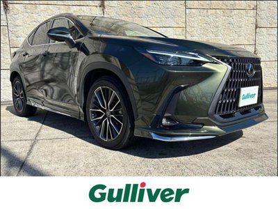 LEXUS NX - 1