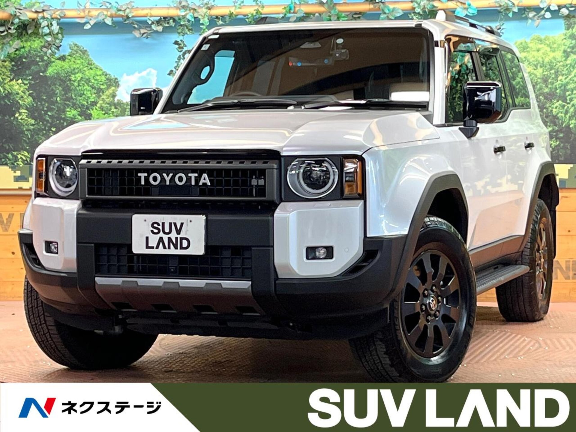 TOYOTA LAND CRUISER 250 - View 1