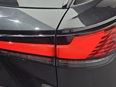 2023 Lexus RX photo 10