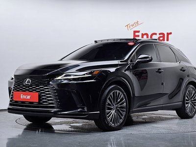 2023 Lexus RX photo 1